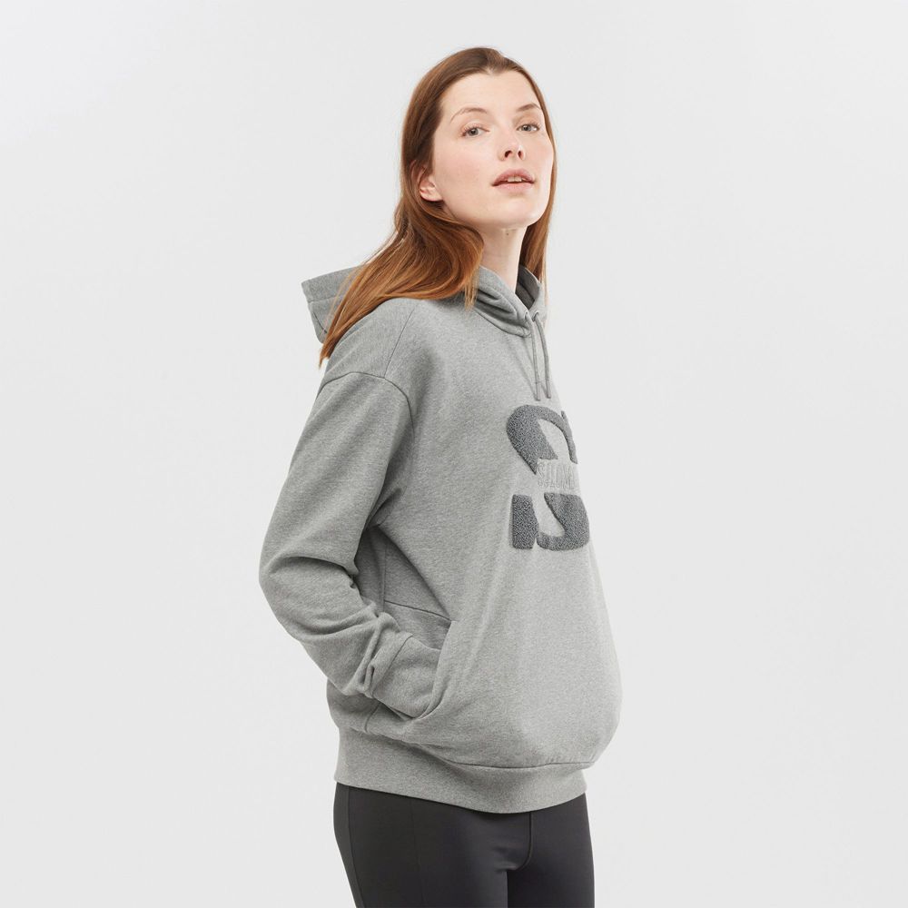 SALOMON OUTLIFE LOGO SUMMER Philippines - Women's Pullover - Mid Grey | 368752-HOF